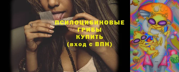метадон Михайлов