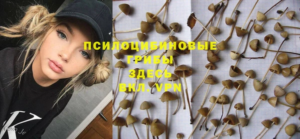 метадон Михайлов