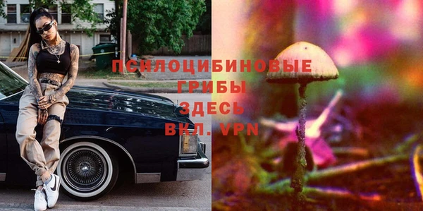 метадон Михайлов