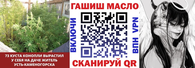 дарнет шоп  OMG маркетплейс  даркнет как зайти  Чита  ТГК THC oil 