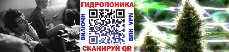 Канабис конопля  Чита 
